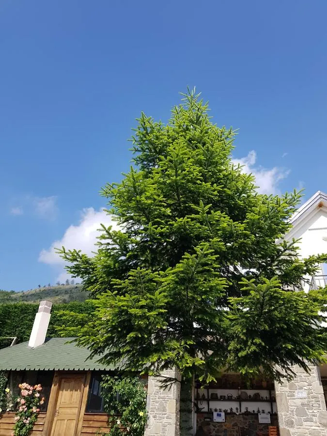 ****  Hotel Sofra E Shpatit Elbasan Albánie